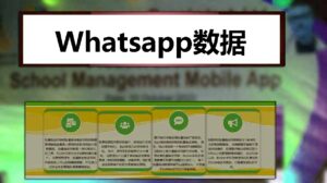 Whatsapp数据
