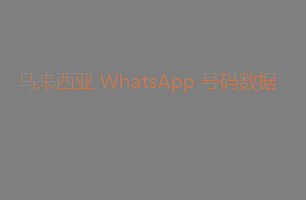 马来西亚 WhatsApp 号码数据